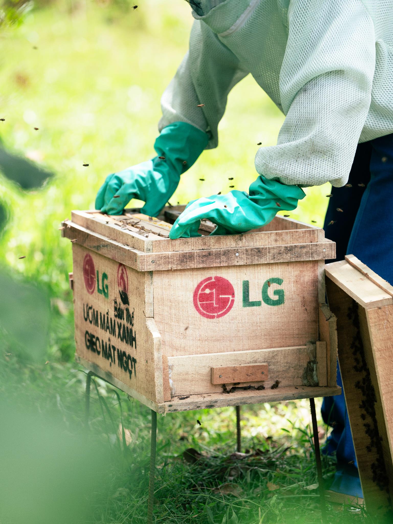 Dự án Ươm mầm xanh – Gieo mật ngọt